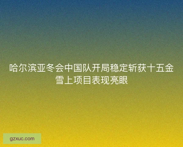 哈尔滨亚冬会中国队开局稳定斩获十五金雪上项目表现亮眼